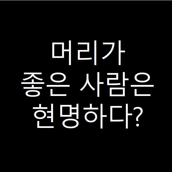  머리가 좋은 사람이 현명하지 않은 이유는
