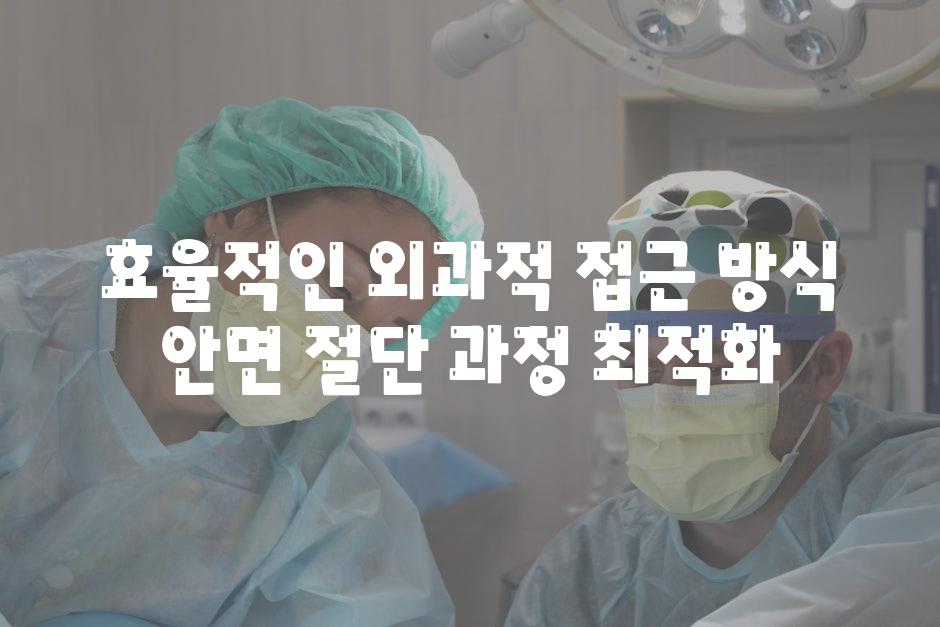 효율적인 외과적 접근 방식 안면 절단 과정 최적화