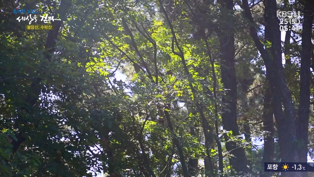 트레킹노트 세상을 걷다.E298.231126p-NEXT.mp4_20231205_210941.558.jpg