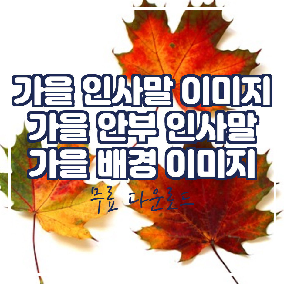  가을 인사말 문구 이미지 배경 무료 다운로드