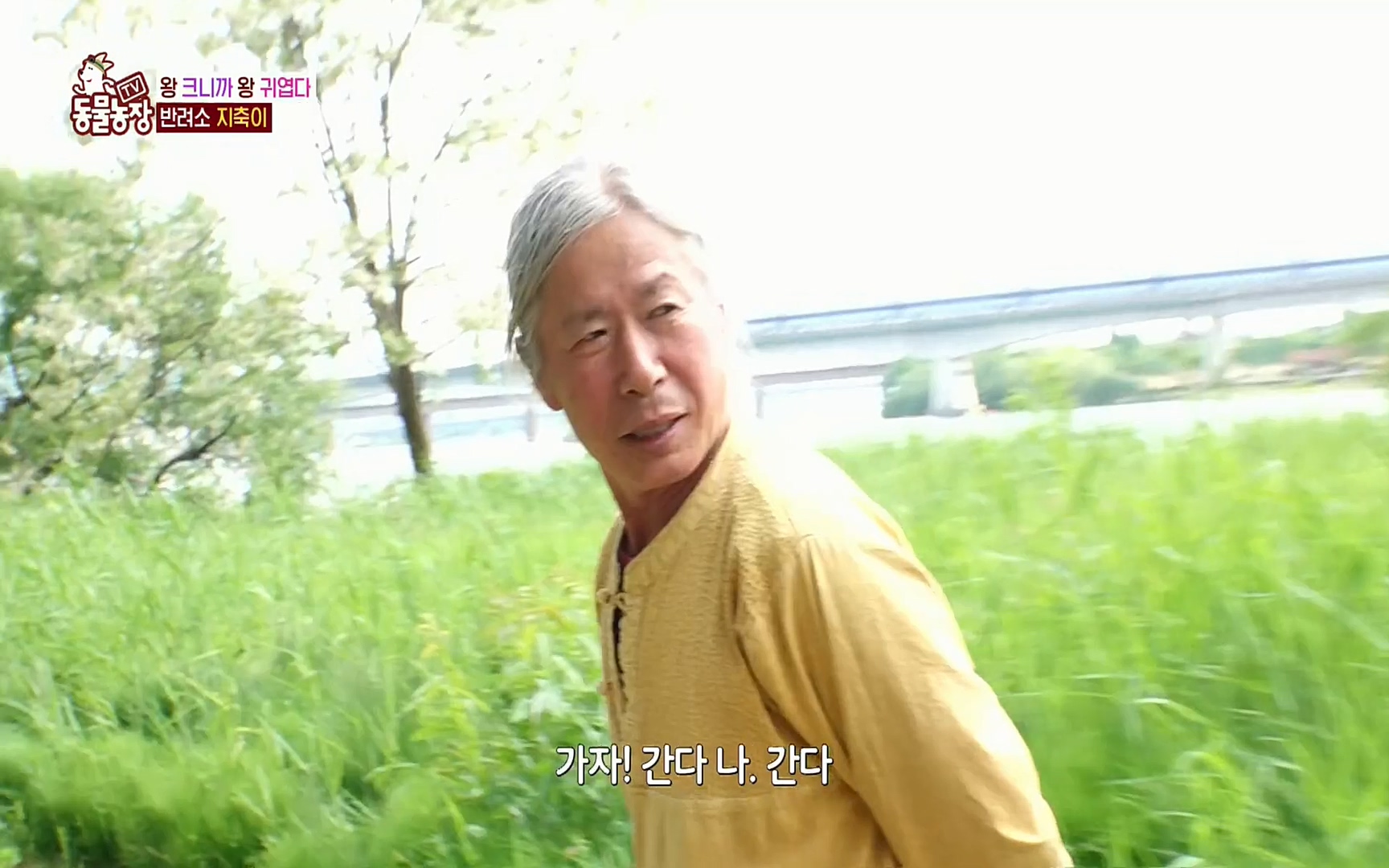TV 동물농장.E1074.220619p.H264-F1RST.mp4_20220619_180934.343.jpg