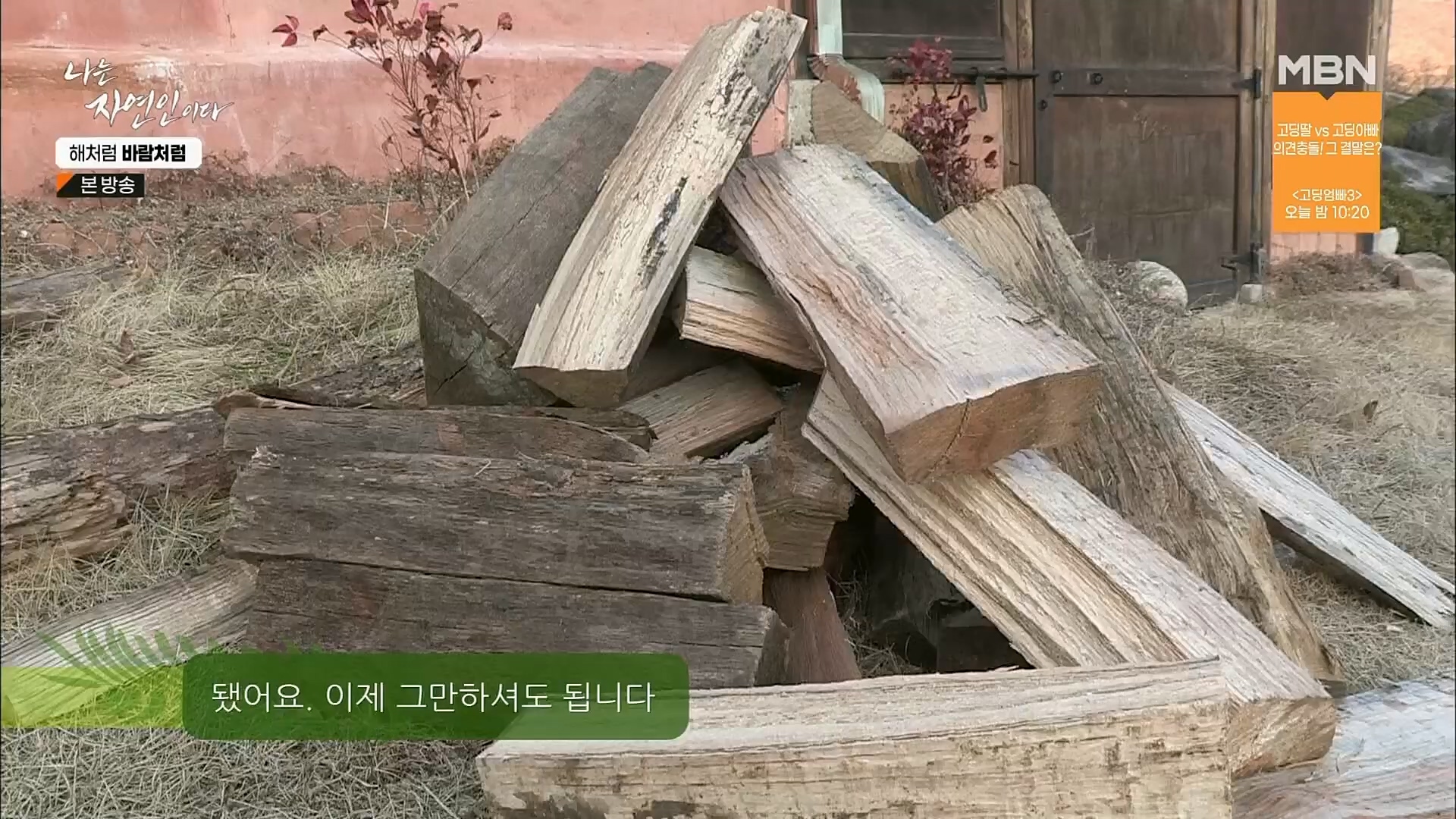나는 자연인이다.E542.230222p.H264-F1RST.mp4_20230223_195857.458.jpg