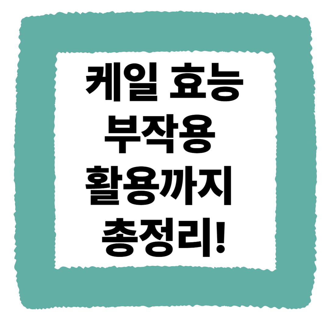 케일 효능·부작용·칼로리부터 케일즙 활용까지 총정리!