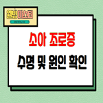  소아 조로증 수명 및 원인 알아보기