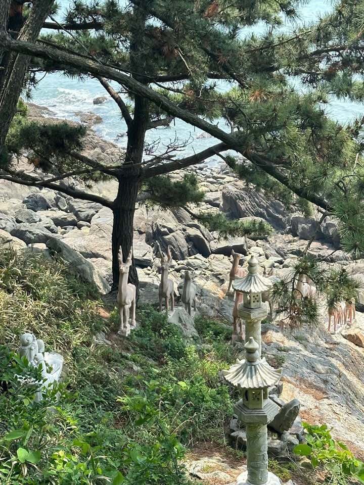 종교 구조물이 바위에 즐비한 사진