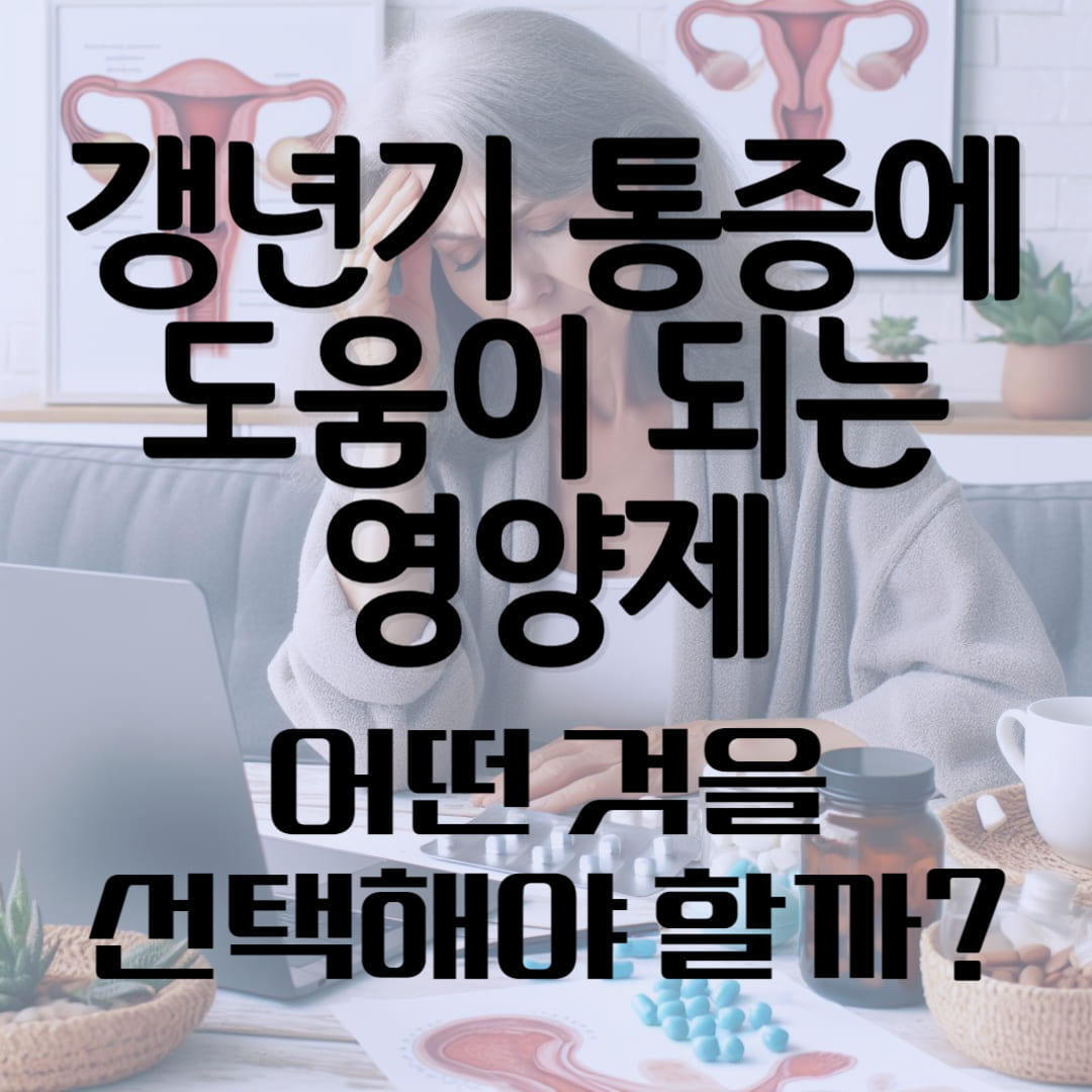 갱년기 통증에 도움이 되는 영양제