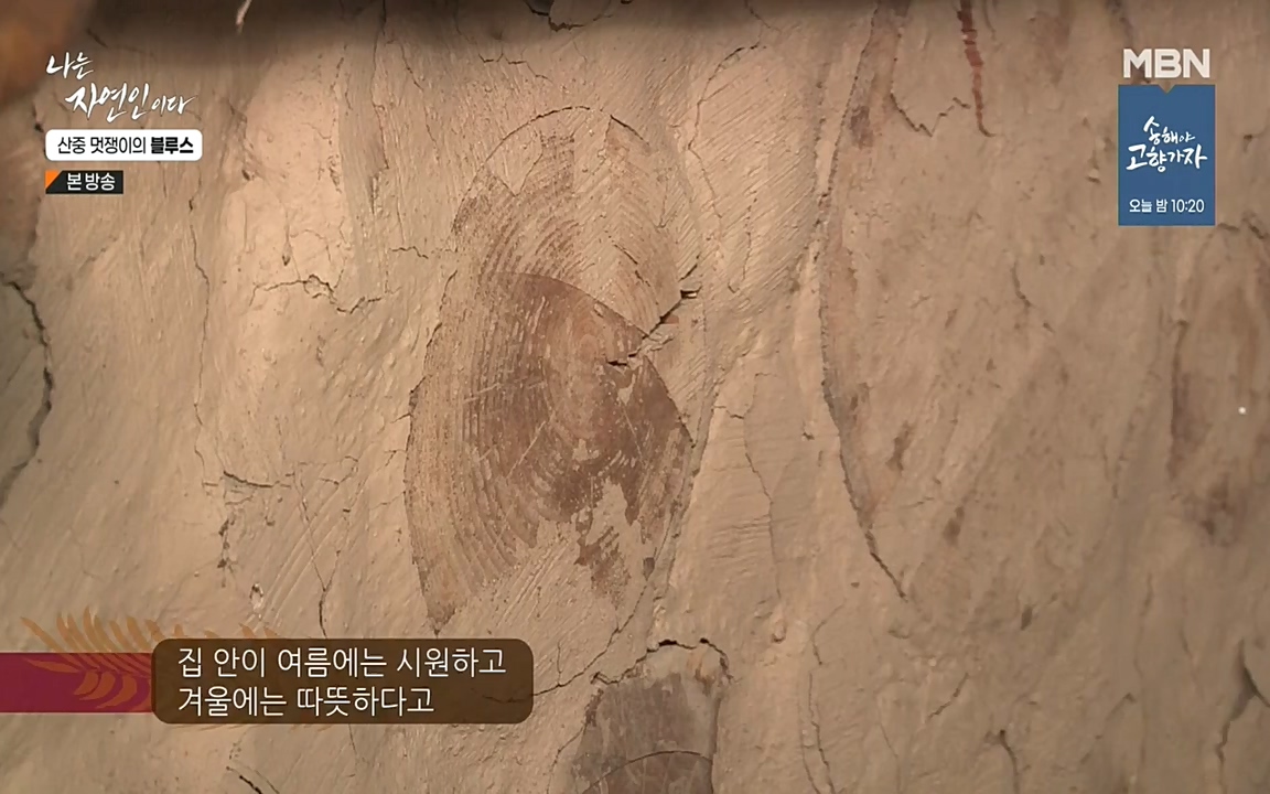 나는 자연인이다.E505.220609p-NEXT.mp4_20220609_200147.527.jpg