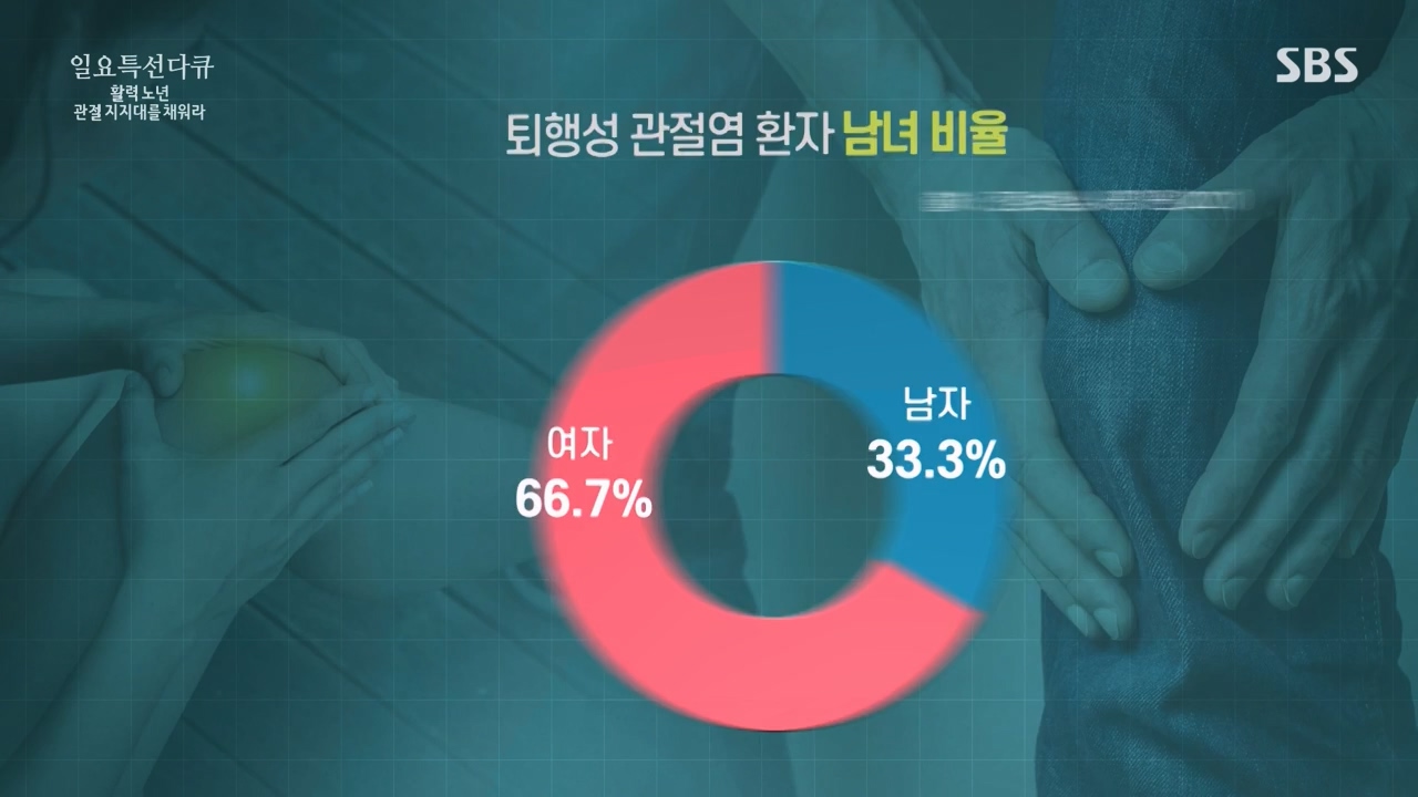 일요특선 다큐멘터리.E343.240304p-NEXT.mp4_20240305_202401.585.jpg