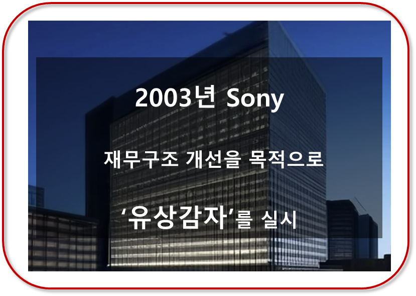 2003년 소니 유상감자 시행