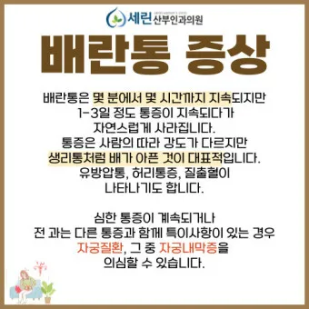 배란통 증상 및 시기 원인_29