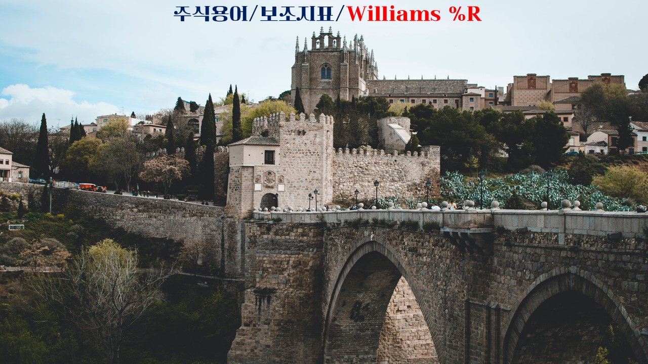  주식용어 보조지표 Williams%R