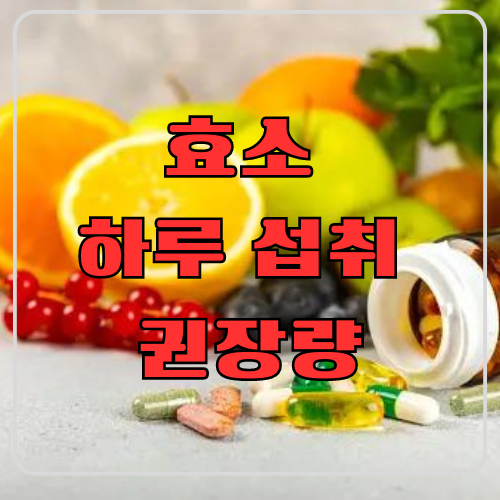 효소 하루 섭취 권장량