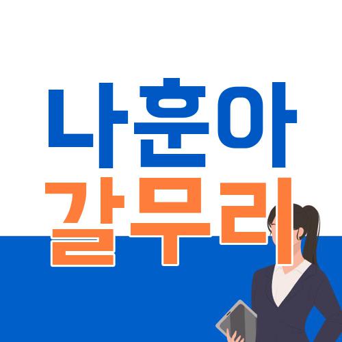 나훈아 갈무리