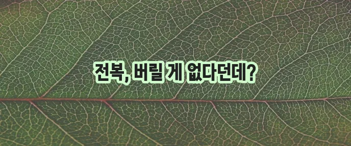 전복 손질법과 내장 활용법 알아두면 정말 유용하죠!