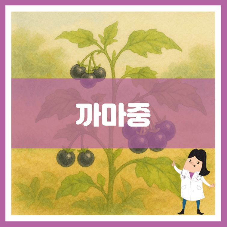 까마중