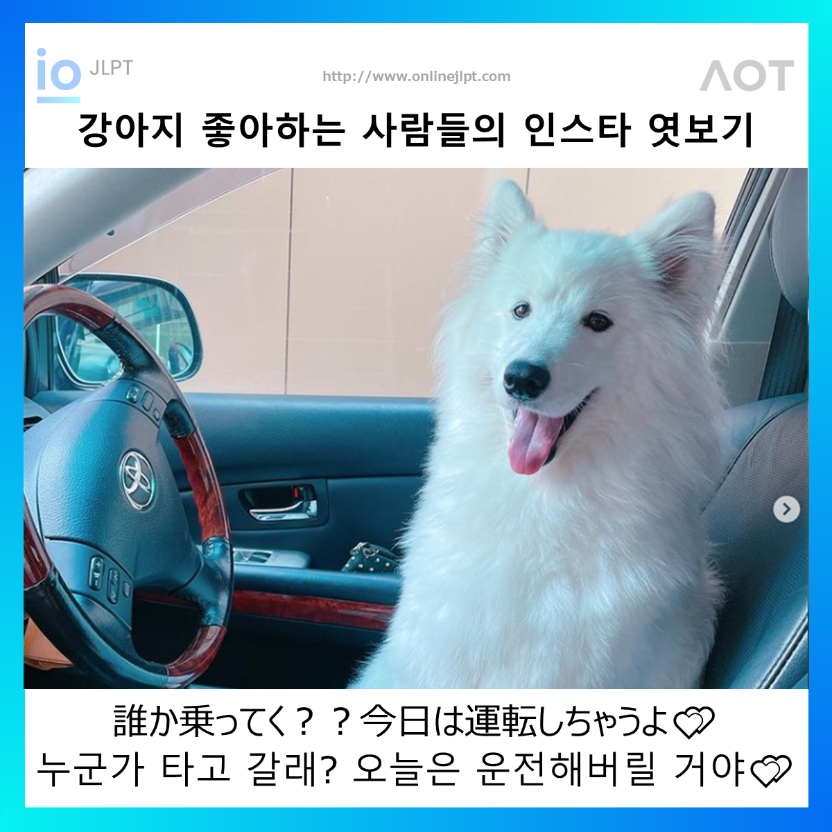  ［인스타 엿보기］誰か乗ってく？？今日は運転しちゃうよ