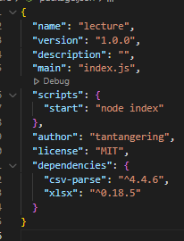 package.json 구조