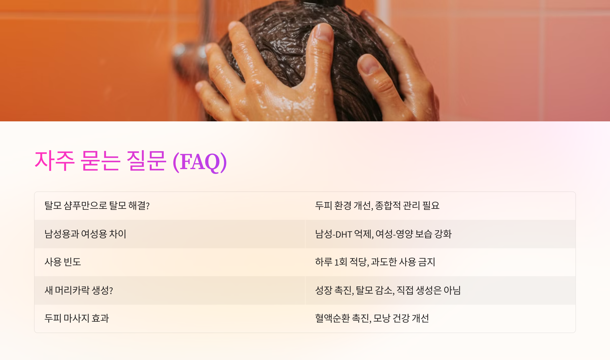 자주 묻는 질문 (FAQ) 관련 이미지