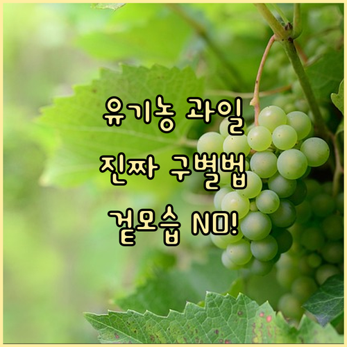 겉모양만 보고는 모른다 진짜 유기농 