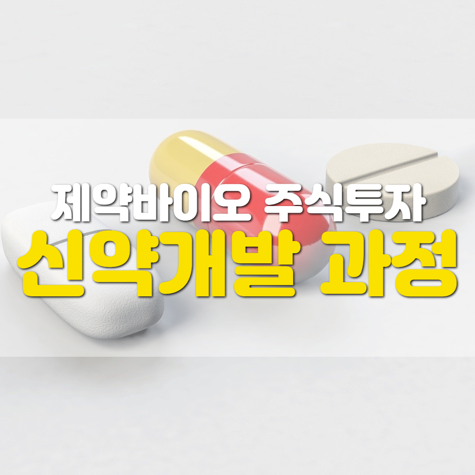  제약, 바이오에 투자자가 알아야 할 '신약 개발과정 6단계'
