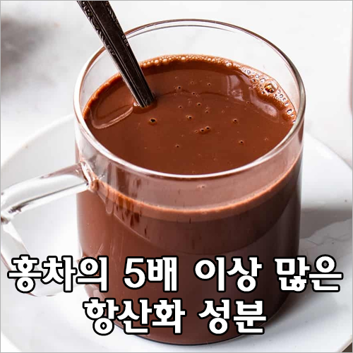 핫초콜릿에는 홍차의 5배 이상 많은 항산화 성분이 있어 몸의 노화를 늦추게 한다