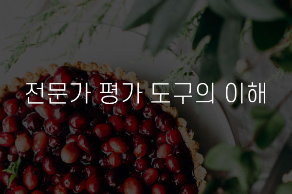  전문가  평가 도구의 이해
