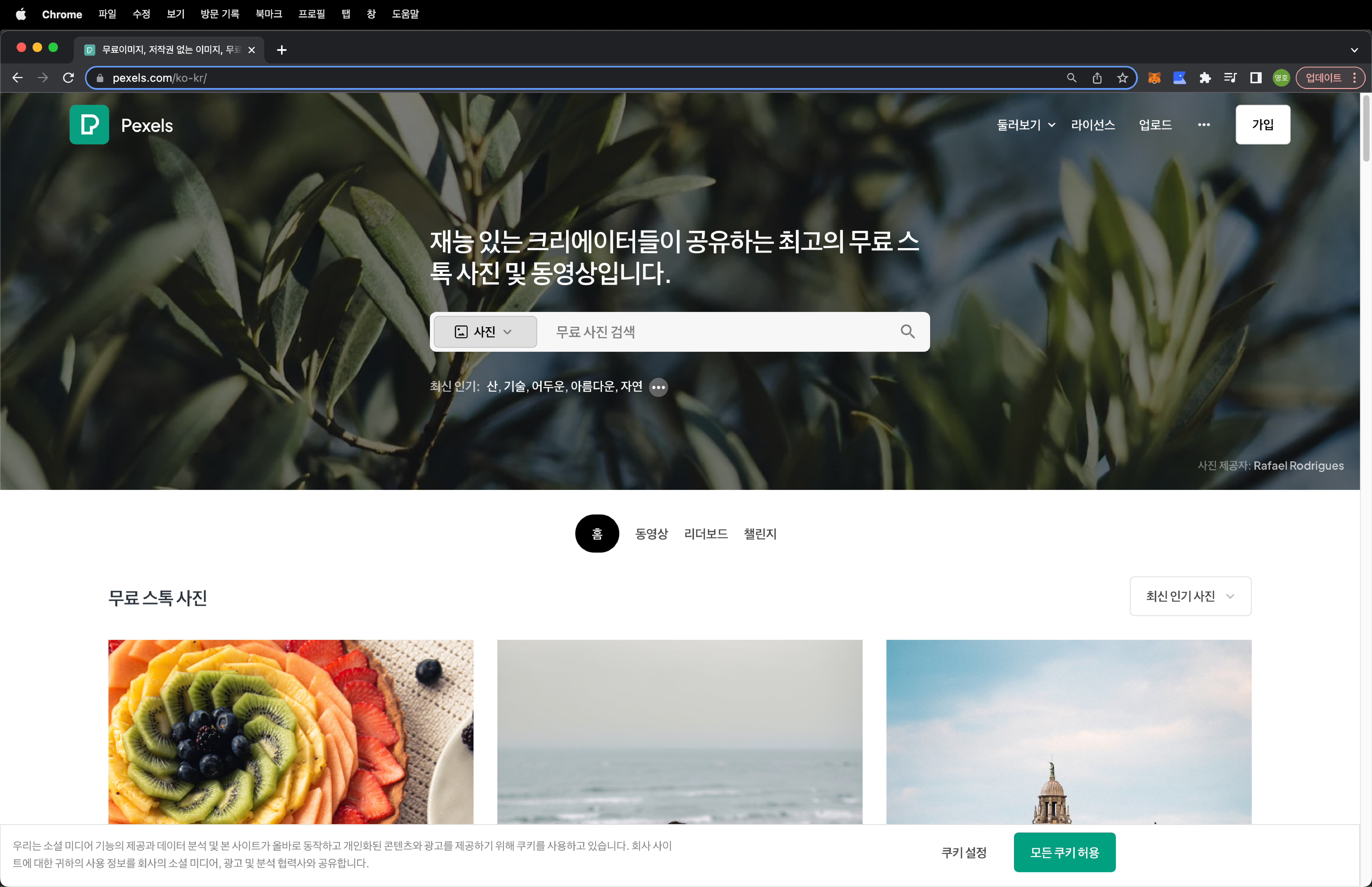 Pexels 화면