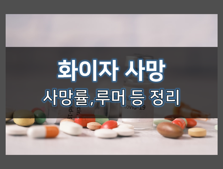  화이자 사망 의혹과 사건 간단 정리