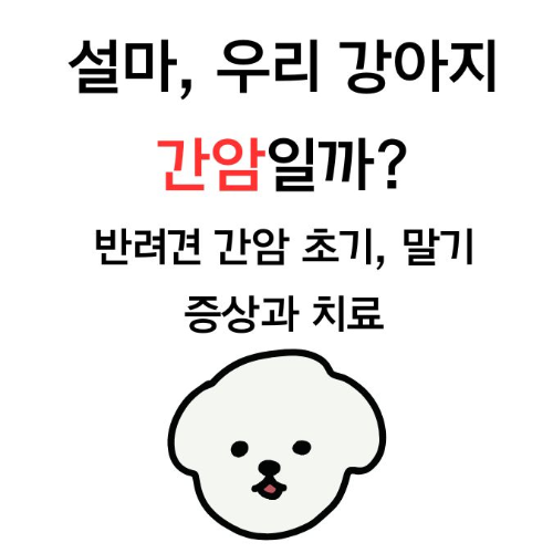 강아지 간암, 강아지 간암 증상, 반려견 간암, 반려견 간암 말기, 생존 기간, 치료 방법, 간암 치료비, 강아지 간 보호제