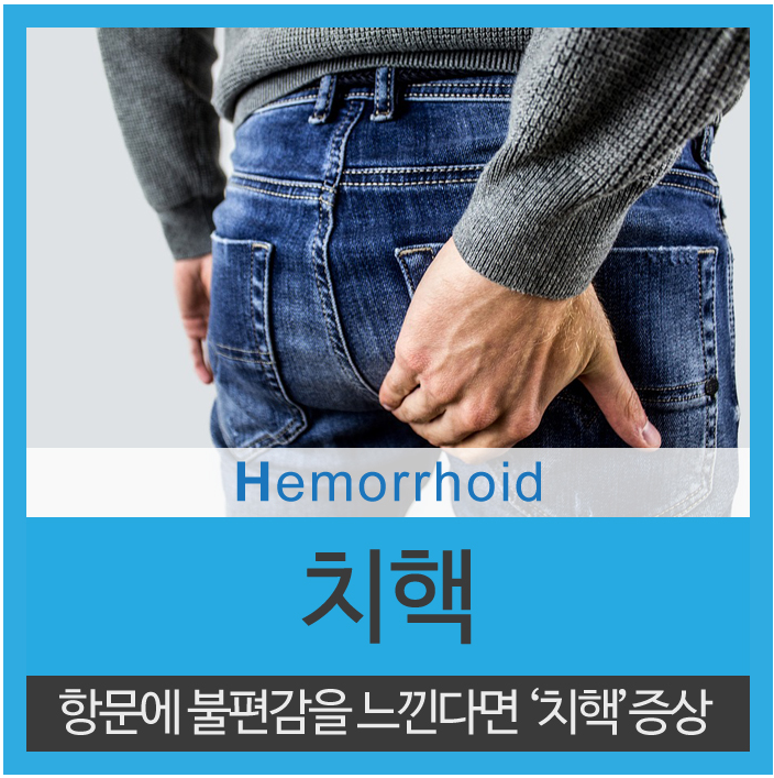  항문 출혈 치핵과 치질을 의심하세요