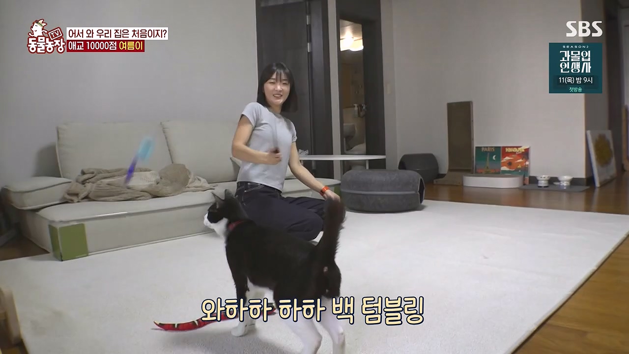 TV 동물농장.E1178.240630.ts_20240630_164650.675.jpg