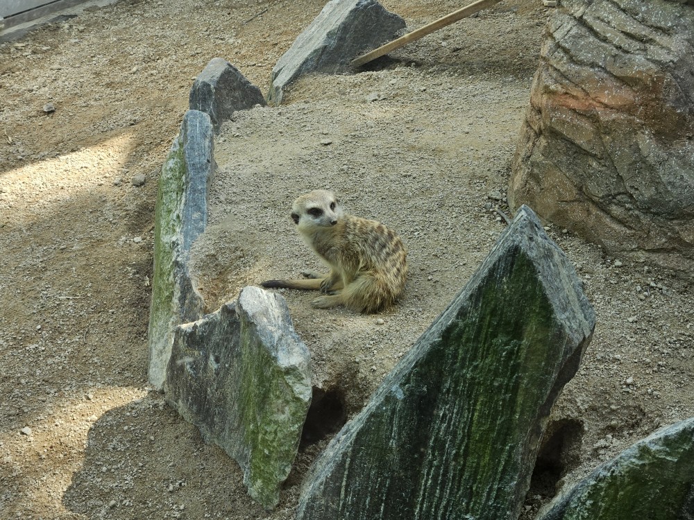 울산 대공원 남문25