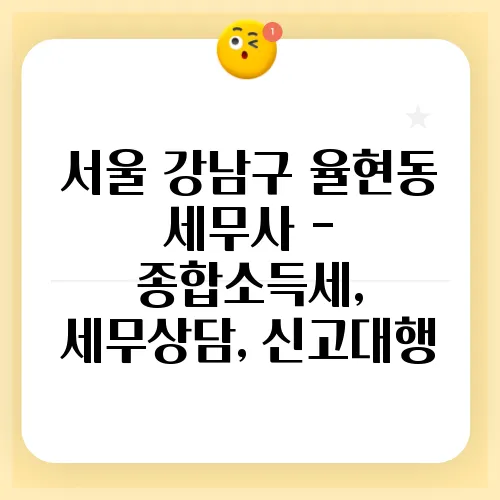 서울 강남구 율현동 세무사 - 종합소득세, 세무상담, 신고대행