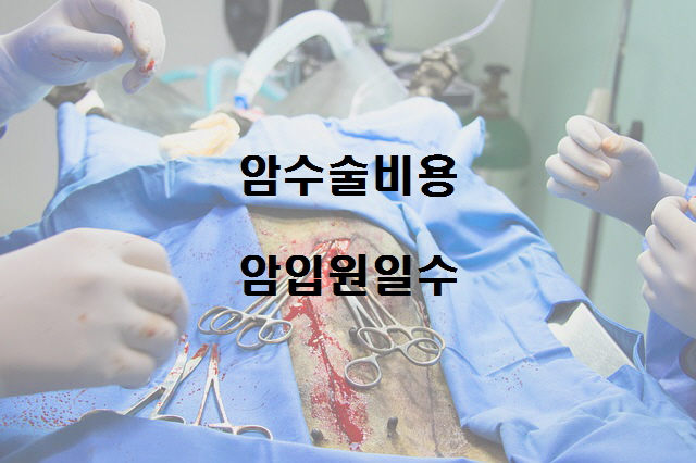  노다지네 잡학다식