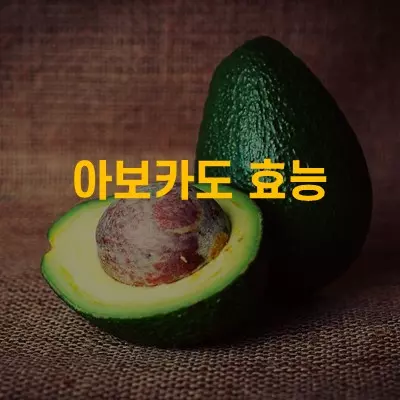 아보카도 효능