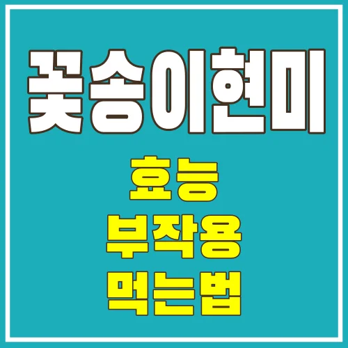 꽃송이현미