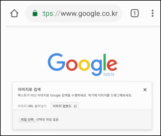  구글 이미지 검색 모바일, 앱, 아이폰