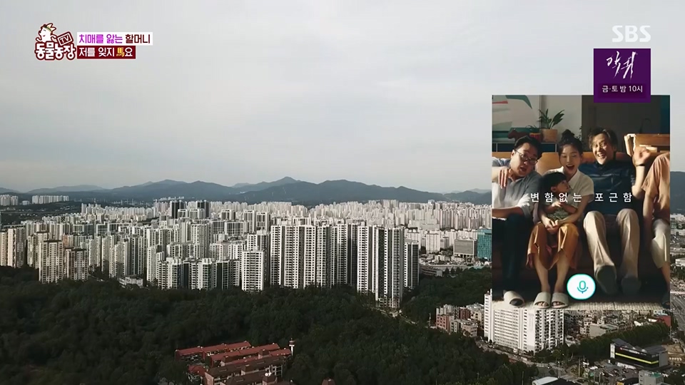 TV 동물농장.E1126.230625p.H264-F1RST.mp4_20230626_204301.505.jpg