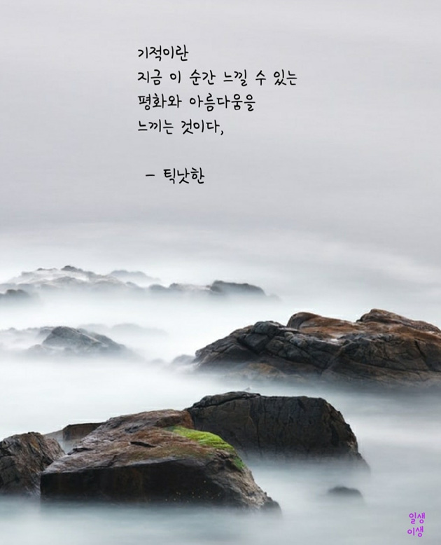  틱낫한 스님의 '화가 풀리면 인생도 풀린다'