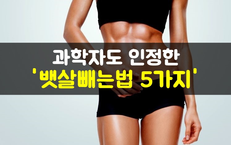 과학자도 인정한 뱃살 빼는방법 5가지