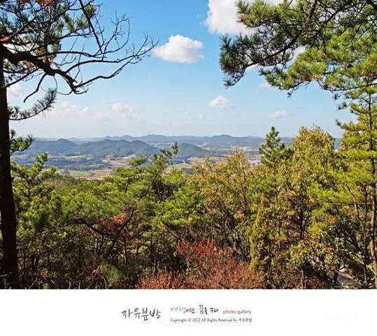 무창포수산물시장