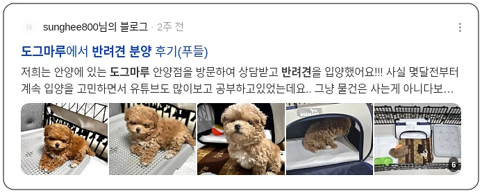 도그마루 반려견 분양_2_subsection