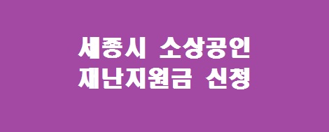 세종시 소상공인 재난지원금