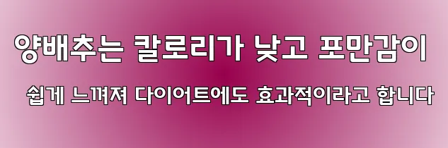 양배추는 칼로리가 낮고 포만감이 쉽게 느껴져 다이어트에도 효과적이라고 합니다