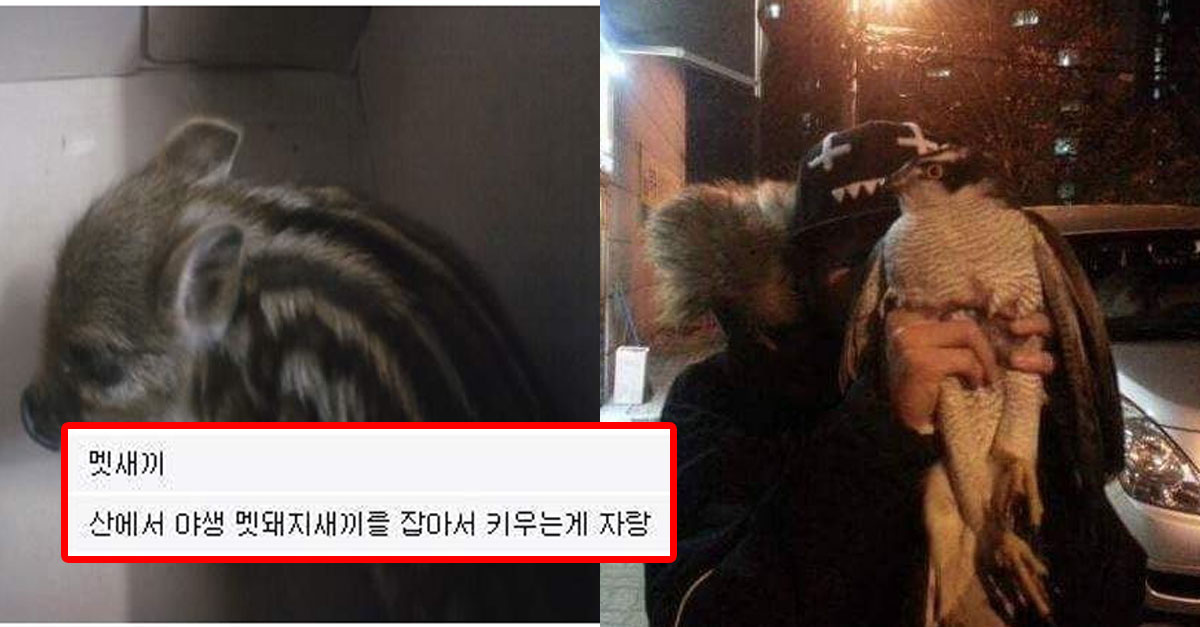  별 걸 다 주워 가지고 오는 디씨인들ㅋㅋㅋㅋㅋ