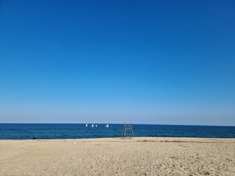  캠린이때 다니던 차박성지, 강릉 사천해변