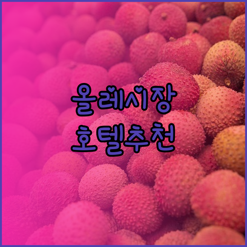 올레시장 근처 호텔 어디가 좋을까? 