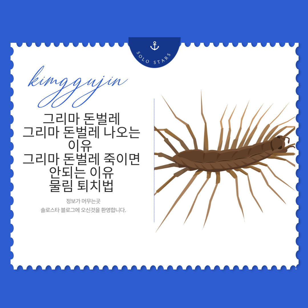 그리마 돈벌레 그림