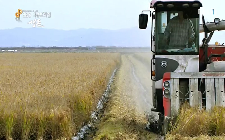 EBS 다큐프라임_ 220628.avi_20220629_210214.447.jpg