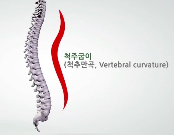 후유 이미지